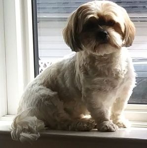 Meet your Posher, Mary ann